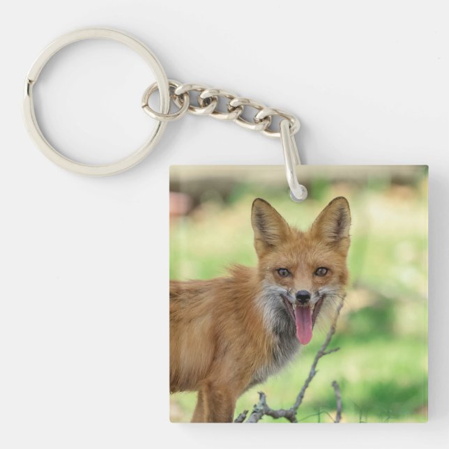 Llavero Mama Fox en el Valle de Hudson (Frente)