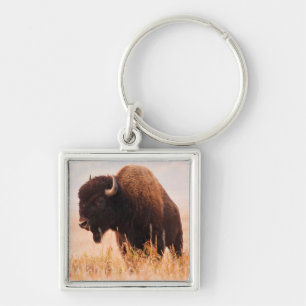 Llavero Manada de Bisontes Americanos (Bison Bison) en Tet
