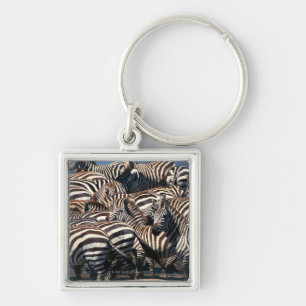 Llavero Manada de cebras