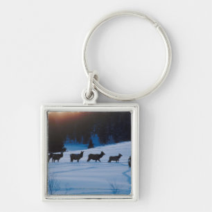 Llavero Manada de los alces que camina a través de campo