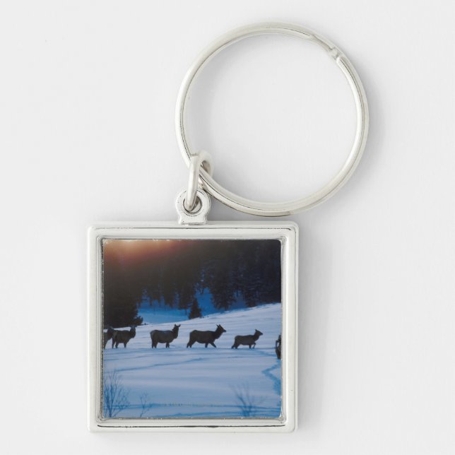 Llavero Manada de los alces que camina a través de campo (Frente)