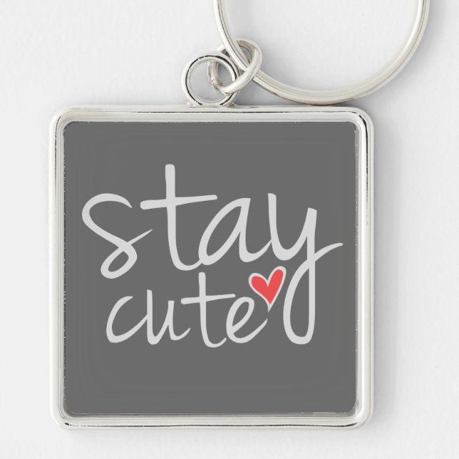 Llavero Mantente lindo Keychain premium, gris (Frente)