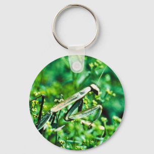 Llavero Mantis religiosa