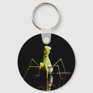 Llavero Mantis rezando