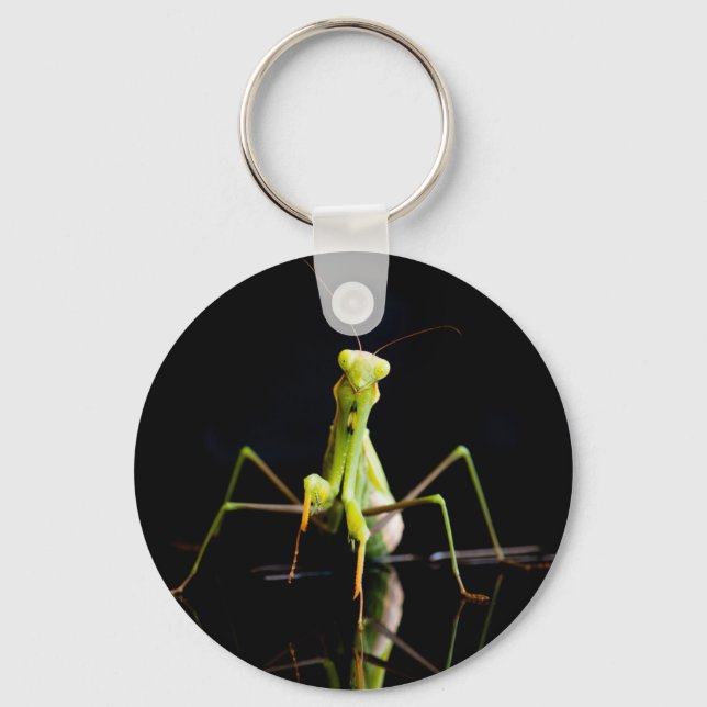 Llavero Mantis rezando (Anverso)