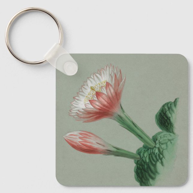 Llavero Manzana peruana (Anverso)