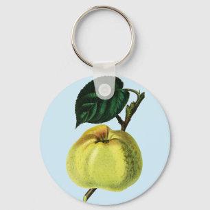 Llavero manzana verde sobre un ilustracion botánico de fru