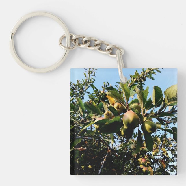 Llavero Manzanas (Frente)