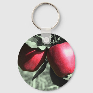 Llavero Manzanas Rojas En La Cadena Keychain De Blanco Y N