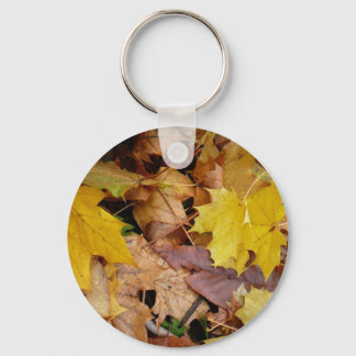 Llavero Maple caído deja naturaleza otoño amarilla
