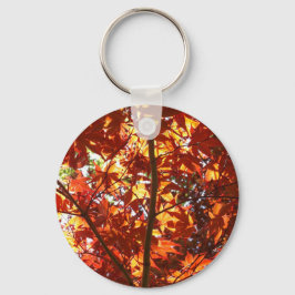 Llavero Maple japonés al sol