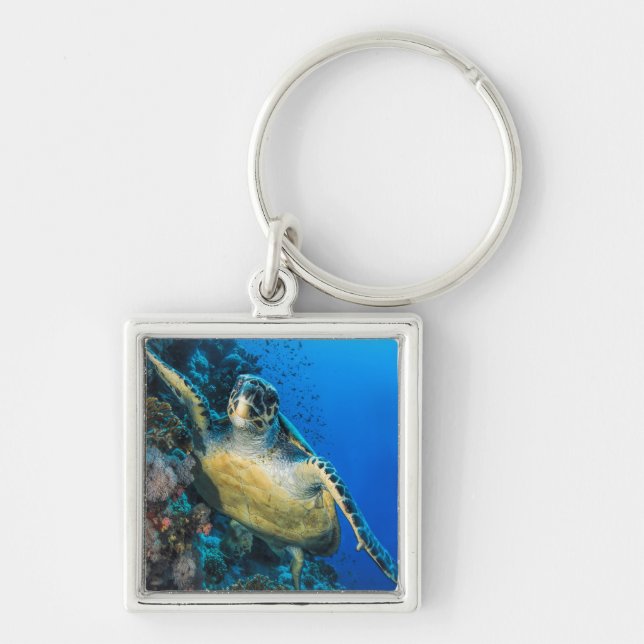 Llavero Mar Rojo de la tortuga de mar verde el | (Frente)