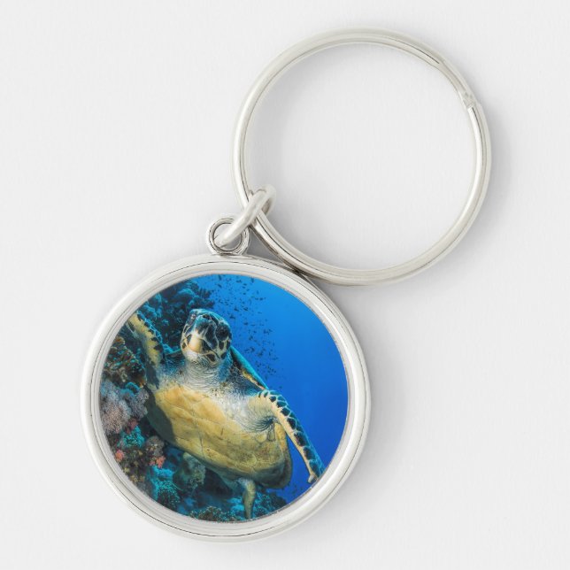 Llavero Mar Rojo de la tortuga de mar verde el | (Frente)