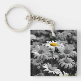 Llavero margarita amarilla en un mar de margaritas negras