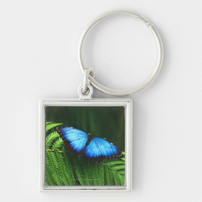 Llavero mariposa (Frente)