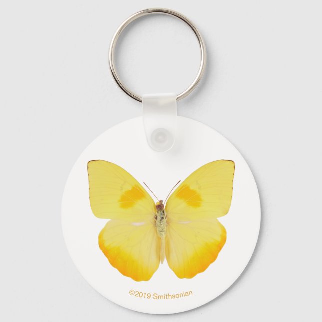 Llavero Mariposa amarilla común (Anverso)