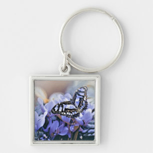 Llavero Mariposa azul