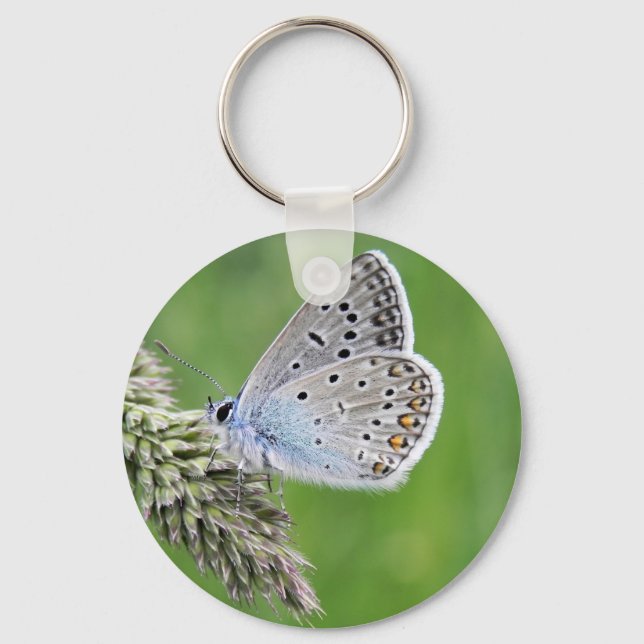 Llavero Mariposa Azul Común en Hierba (Anverso)