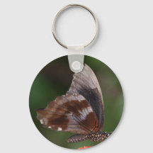 Mariposa blanca y marrón en flor roja