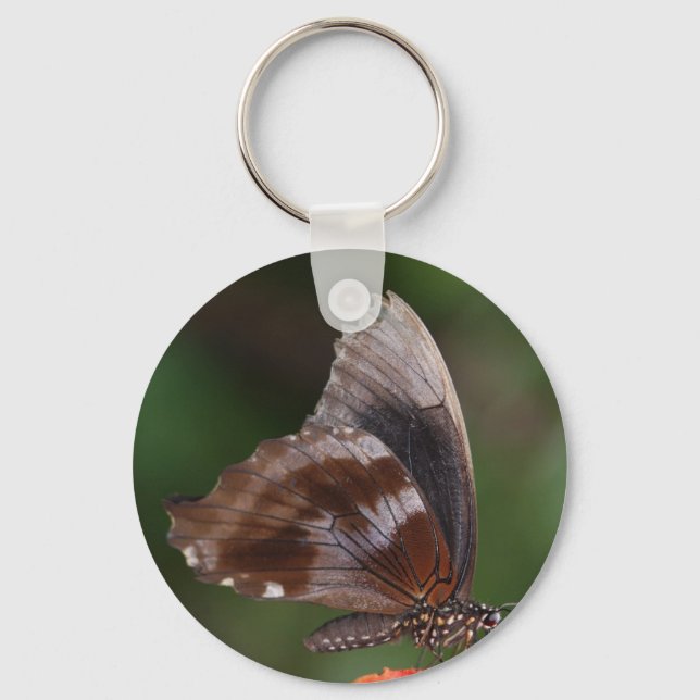 Llavero Mariposa blanca y marrón en flor roja (Anverso)