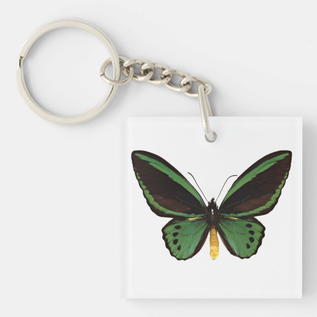 Llavero Mariposa de aves verdes (Frente)