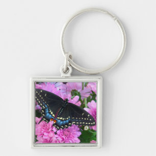 Llavero Mariposa de Baltimore de Cuadros