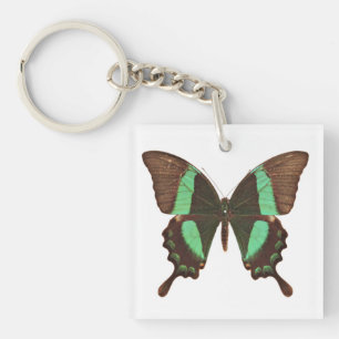 Llavero Mariposa de cola cruda