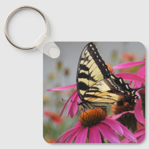 Llavero Mariposa de cola cruda amarilla en Echinacea rosa