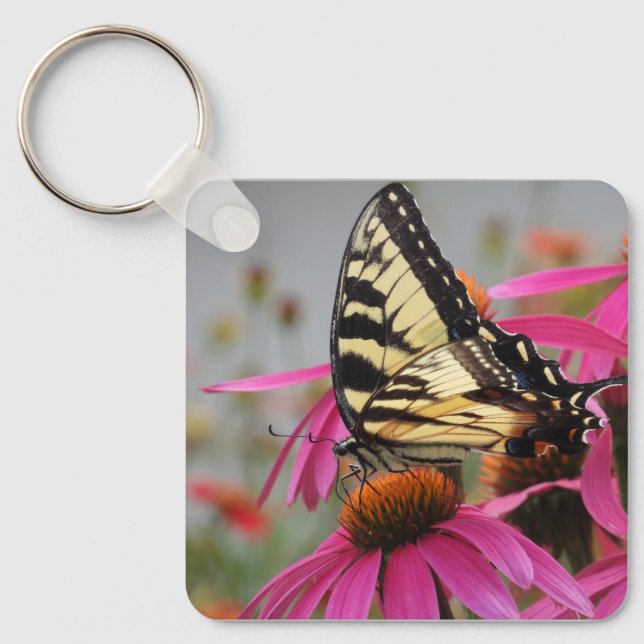 Llavero Mariposa de cola cruda amarilla en Echinacea rosa (Anverso)