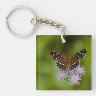 Llavero Mariposa de la media luna texana