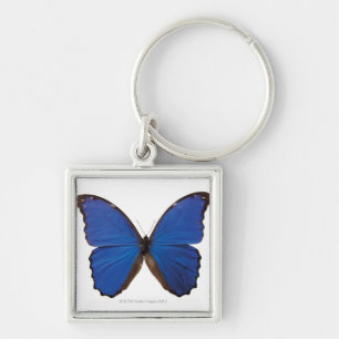 Llavero Mariposa de Nestira Marpho