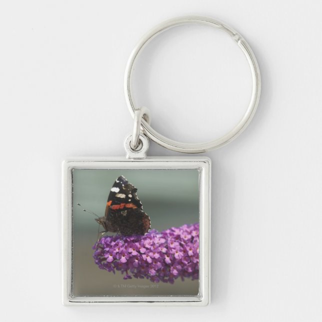 Llavero Mariposa de pavo real en la flor (Frente)