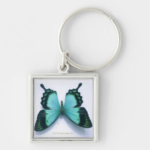 Llavero Mariposa en blanco