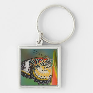 Llavero Mariposa en la flor tropical