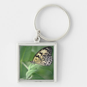 Llavero Mariposa en la hoja