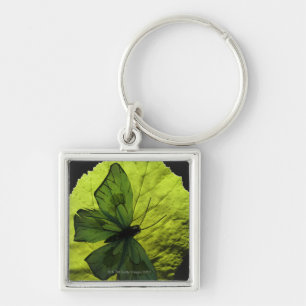 Llavero Mariposa en la hoja