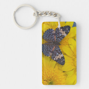 Llavero Mariposa en una flor amarilla