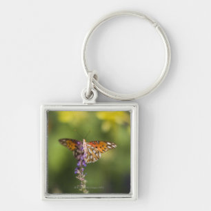 Llavero Mariposa en wildflowers