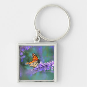 Llavero Mariposa monarca en la flor de lilo púrpura