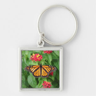 Llavero Mariposa monarca en Lantana