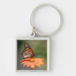 Llavero Mariposa monarca en una flor naranja