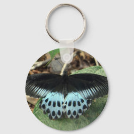 Llavero Mariposa mormal irlandesa azul
