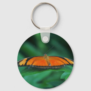 Llavero Mariposa naranja brillante y negra en hoja