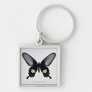 Llavero Mariposa negra y marrón