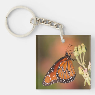 Llavero Mariposa reina en una rama