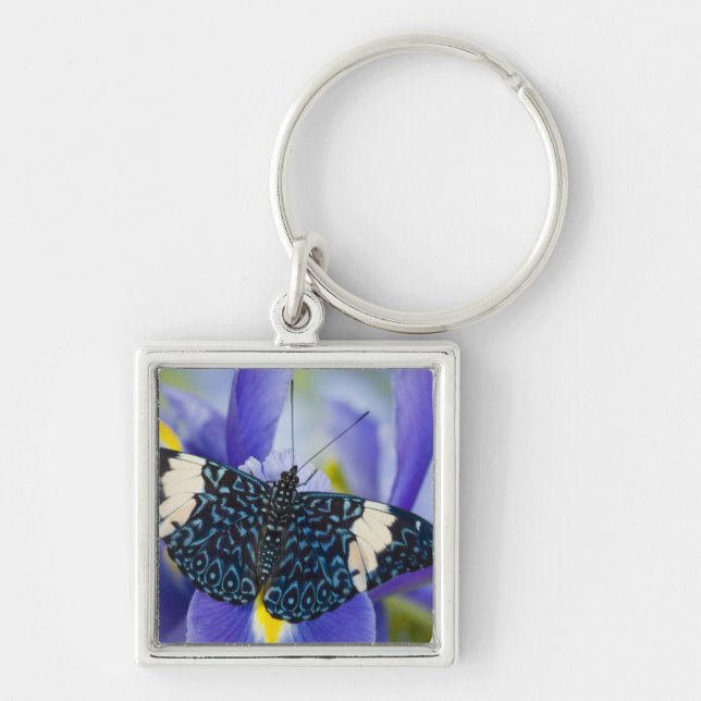 Llavero Mariposa Tropical Morada Iris (Frente)