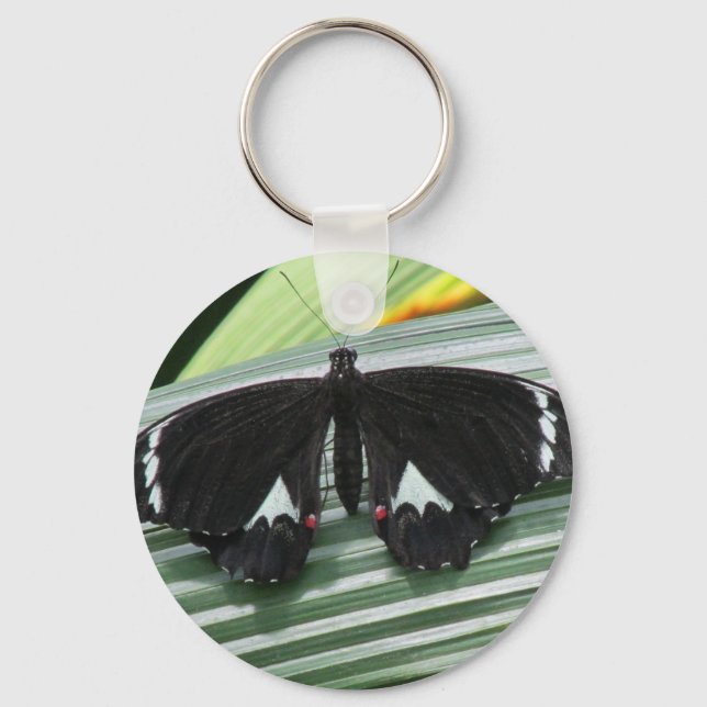 Llavero Mariposa tropical negra y blanca (Anverso)