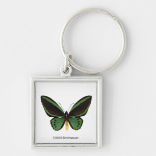 Llavero Mariposa verde de Birdwing