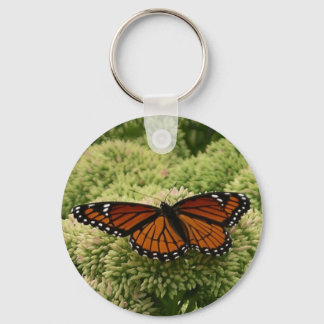 Llavero Mariposa Viceroy Hermosa Fotografía de la Naturale