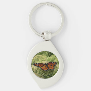 Llavero Mariposa Virrey Fotografía De Naturaleza Hermosa